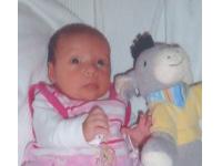 Felia *20.05.2011